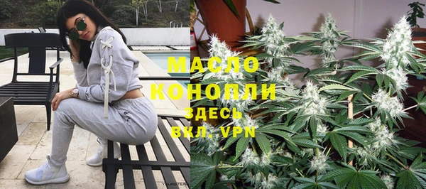 гидра Абаза