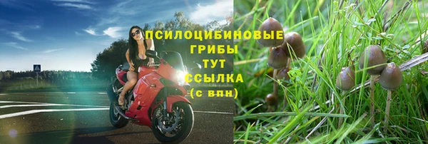 дурь Абдулино