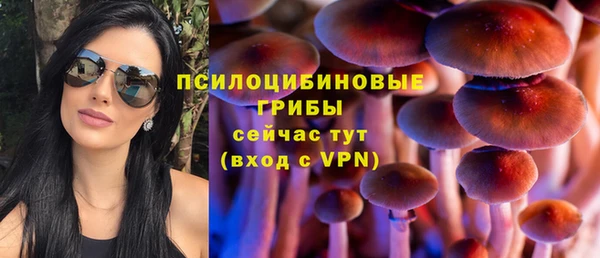 гидра Абаза