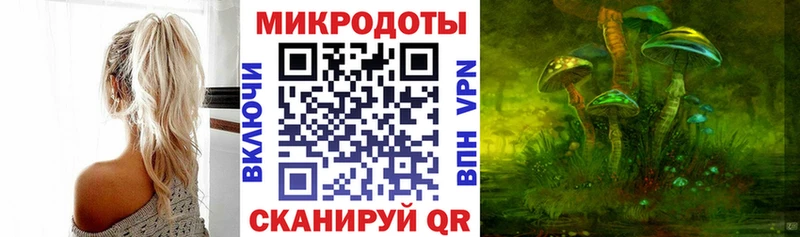 сколько стоит Костерёво Псилоцибиновые грибы мицелий